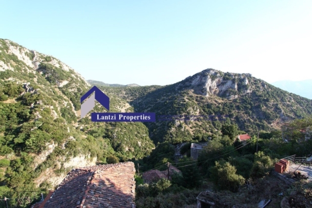 (For Sale) Residential Detached house || Arkadia/Dimitsana - 360 Sq.m, 850.000€ 